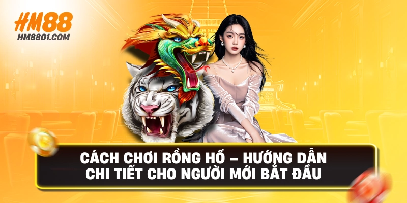 Cách chơi rồng hổ hướng dẫn chi tiết cho người mới bắt đầu